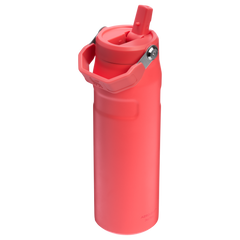 Aeroligh Flip Straw 709 ML