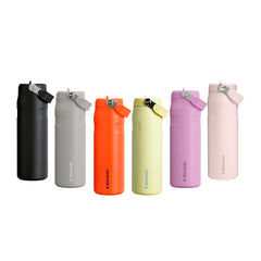 Aeroligh Flip Straw 709 ML